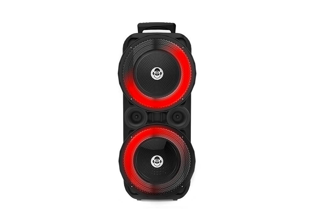 PARTY BOX DJX-801 | iDance Africa
